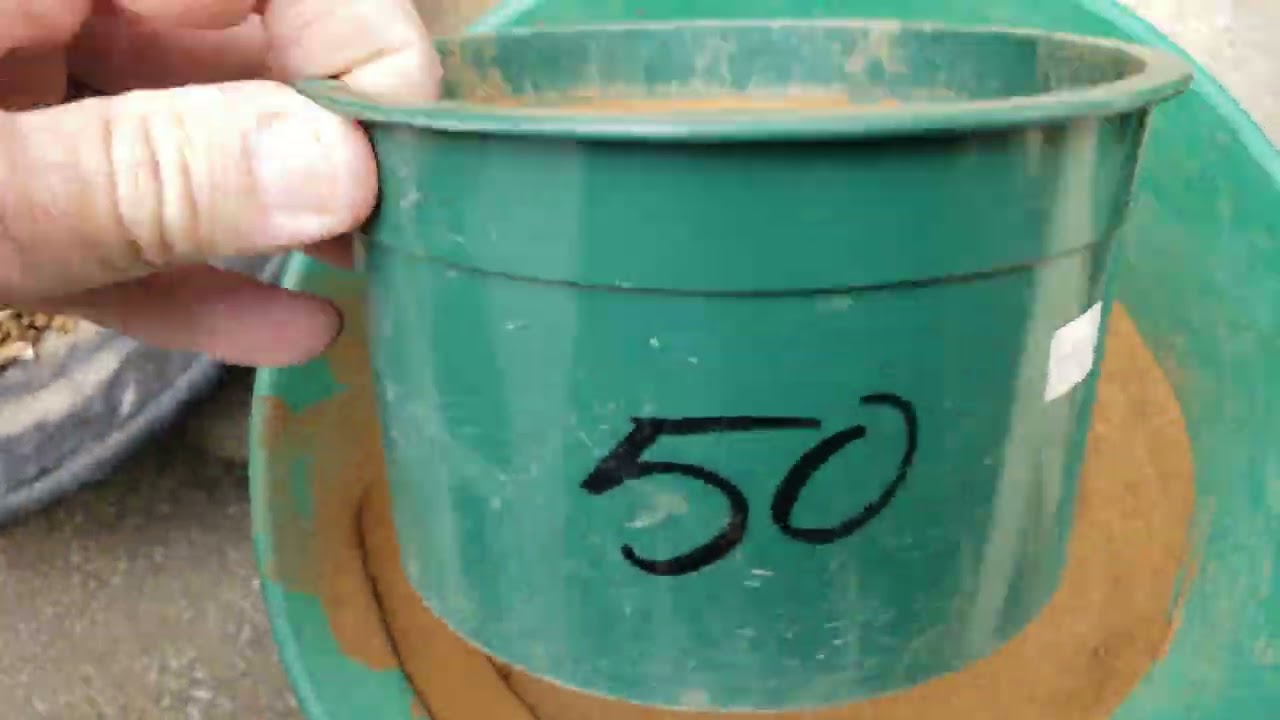 gold panning at home. Classify your cons.