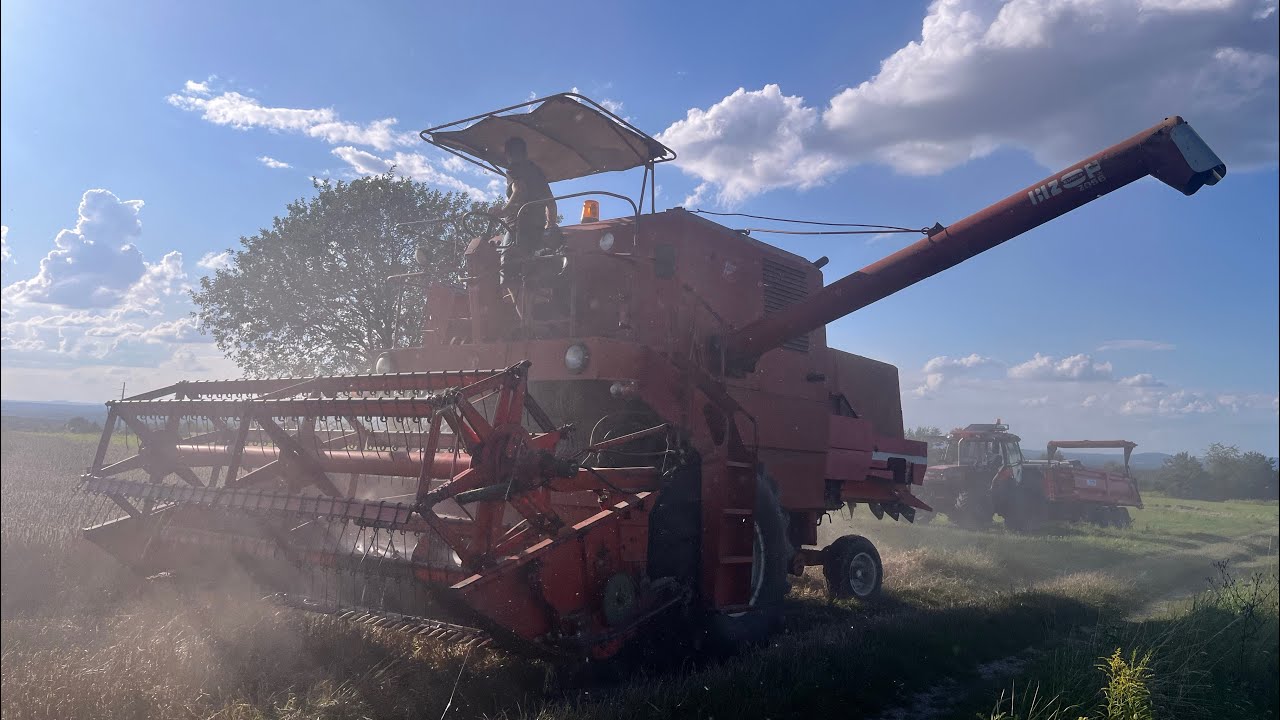 Żniwa 2025 Małopolska / Bizon ZO56 / Case 5120 Maxxum / Dźwięk silnika 