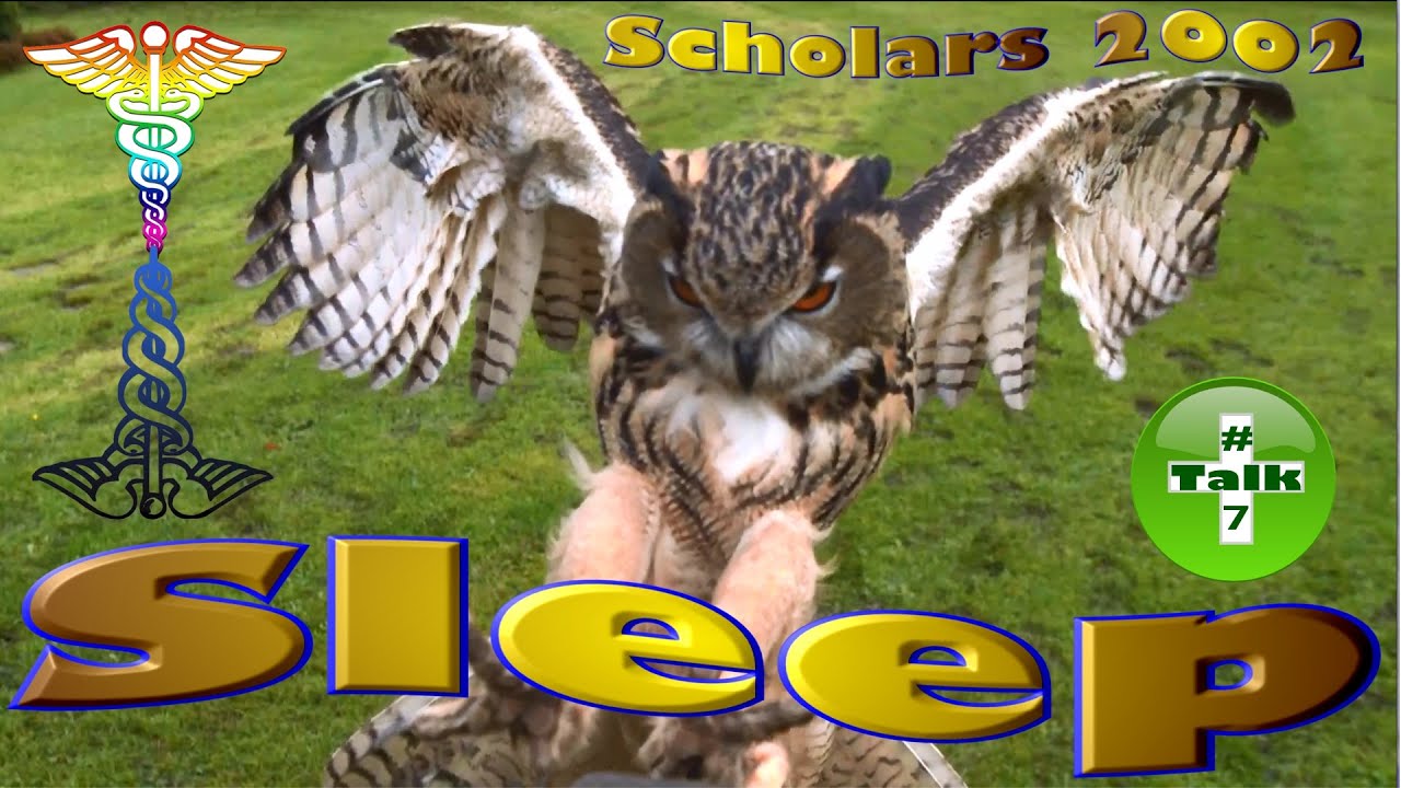 STGEC Scholars: Elderly Sleep Issues (2002)