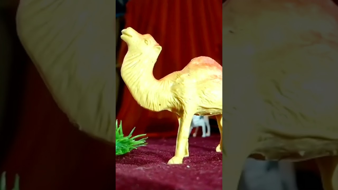 The Lion King 😱🔥#lion #animals