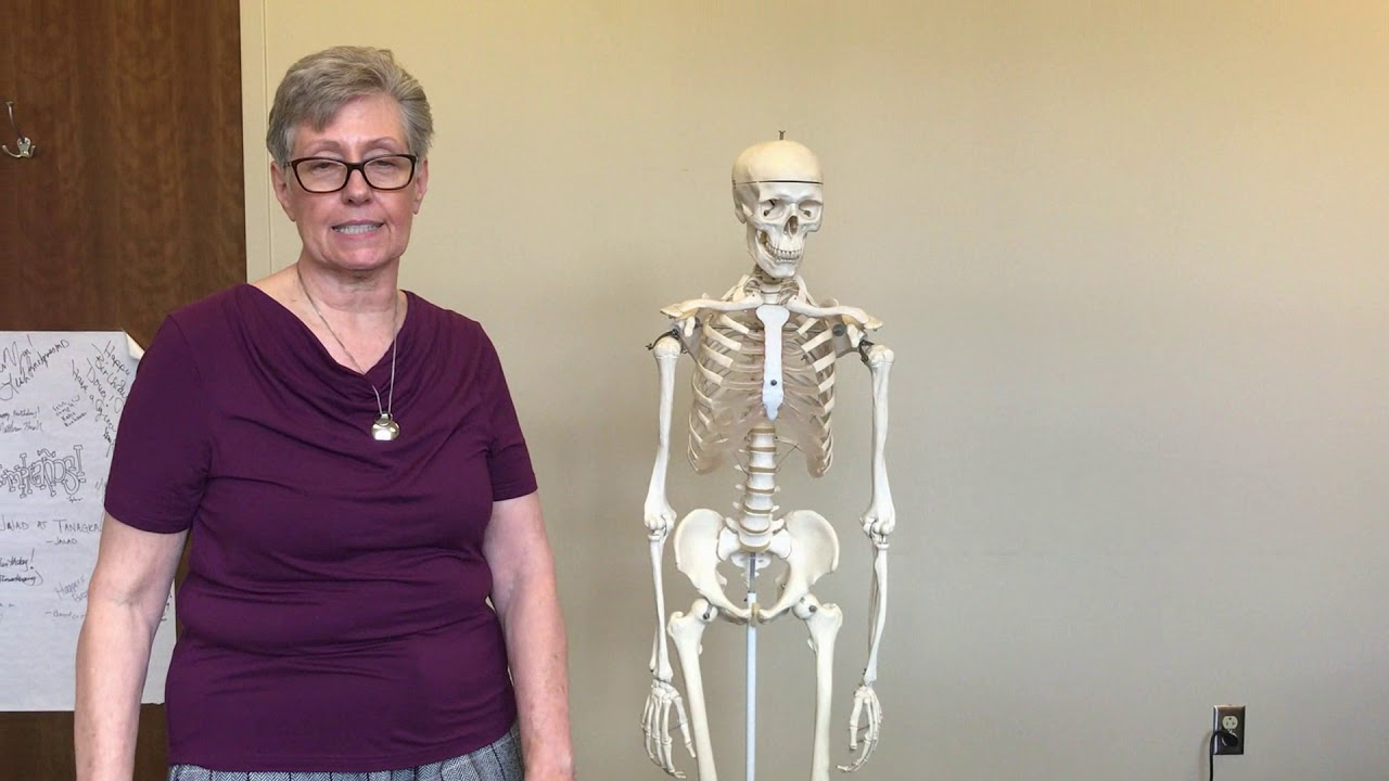 Still Technique Treatments for Lumbar, Innominate, & Sacral Dysfunctions