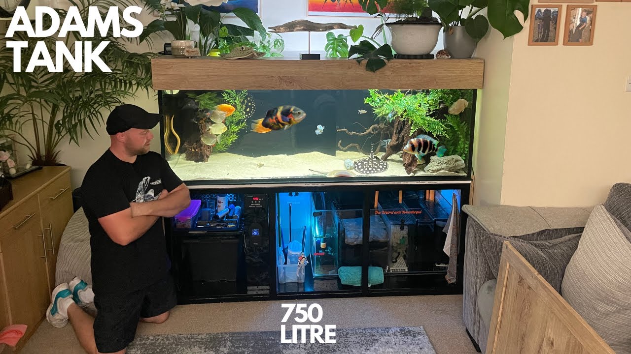 I VISIT ADAMS 750 LITRE TROPICAL AQUARIUM