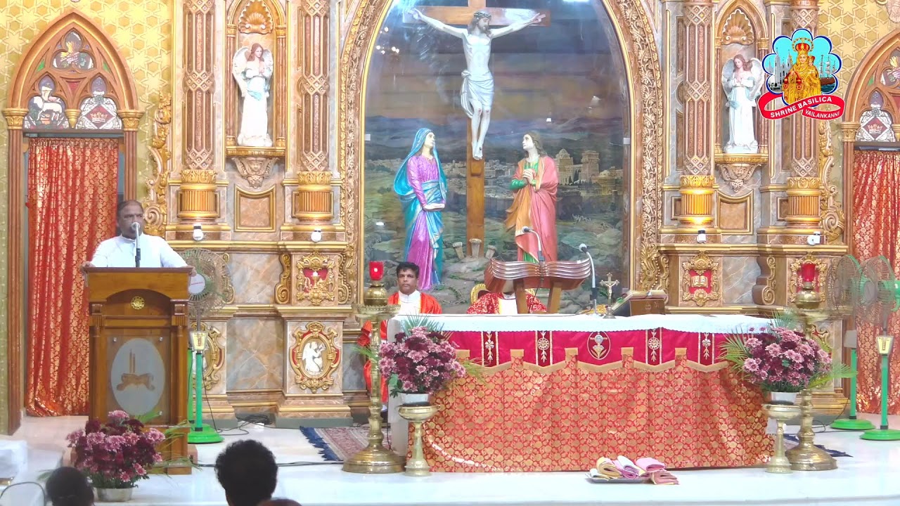 🔴 Live 07 February 2026 @ Vailankanni Shrine Basilica