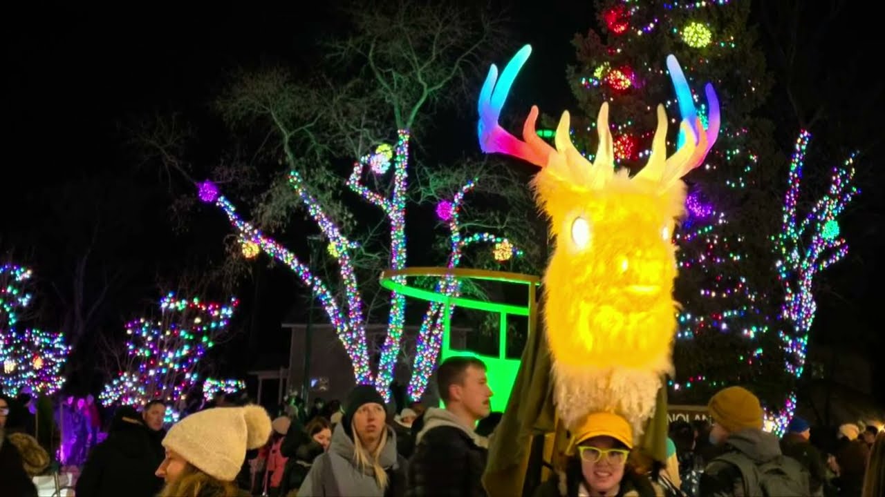 Winter Festival of Lights #beautiful #christmas #festival 