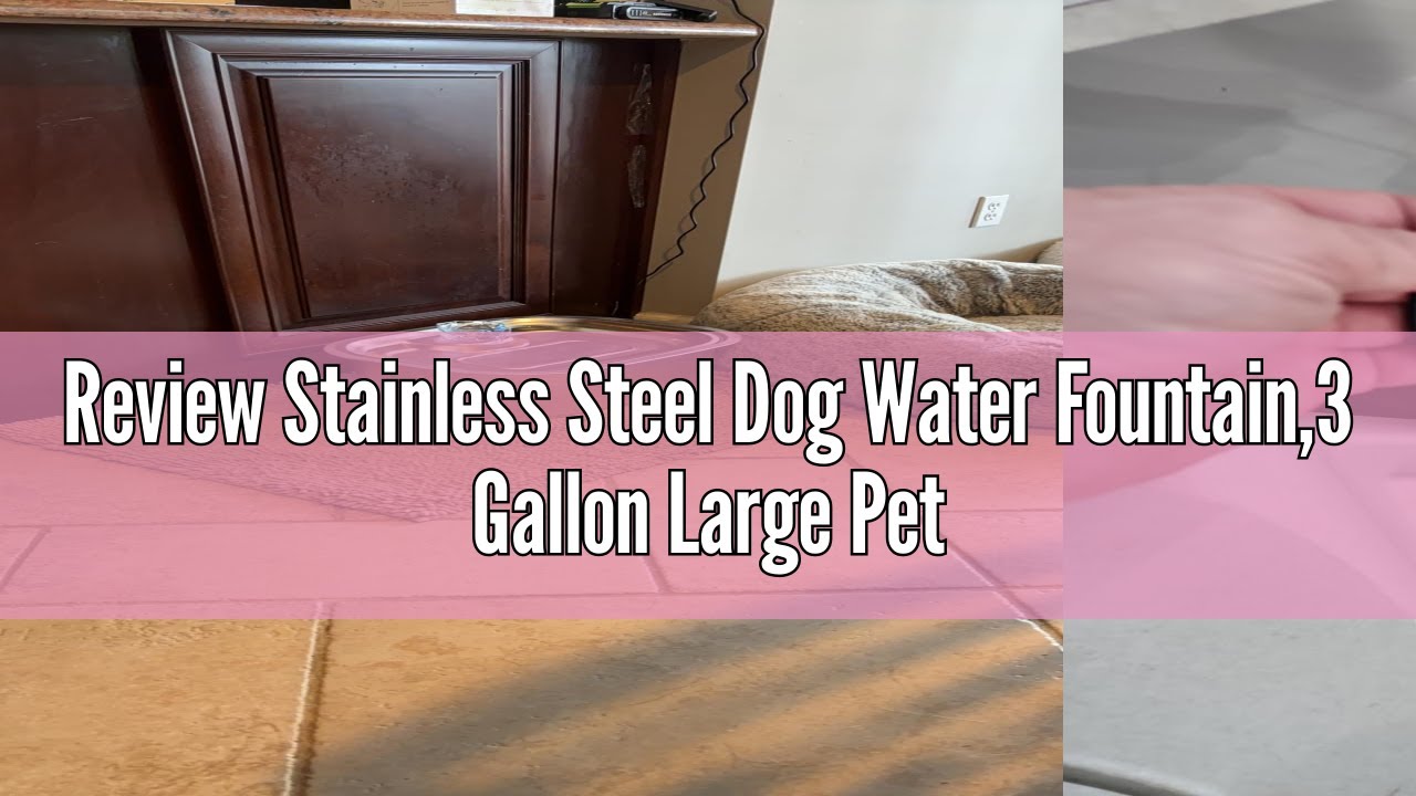 Review Stainless Steel Dog Water Fountain,3 Gallon Large Pet Water Fountains for Dogs and Cats, 11L