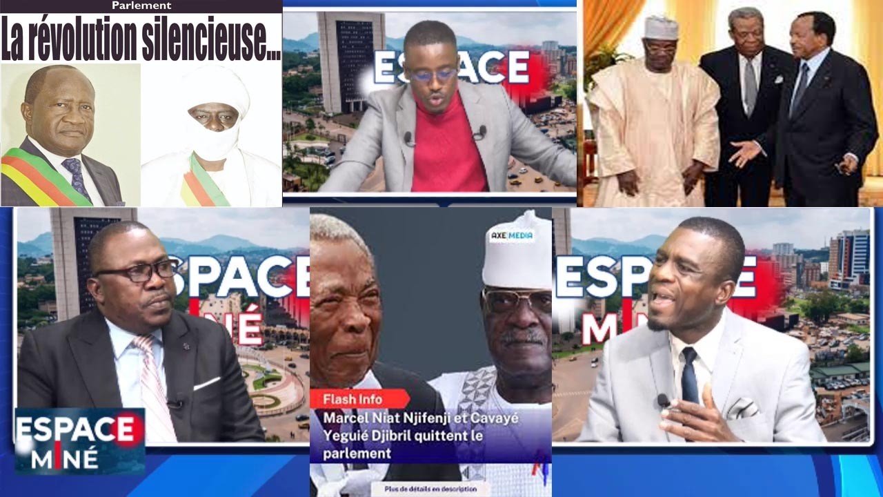 NOUVEAU PARLEMENT CAMEROUNAIS : UN JEU DE CHAISE MUSICALE ? ESPACE MINÉ DU 18 MARS 2026
