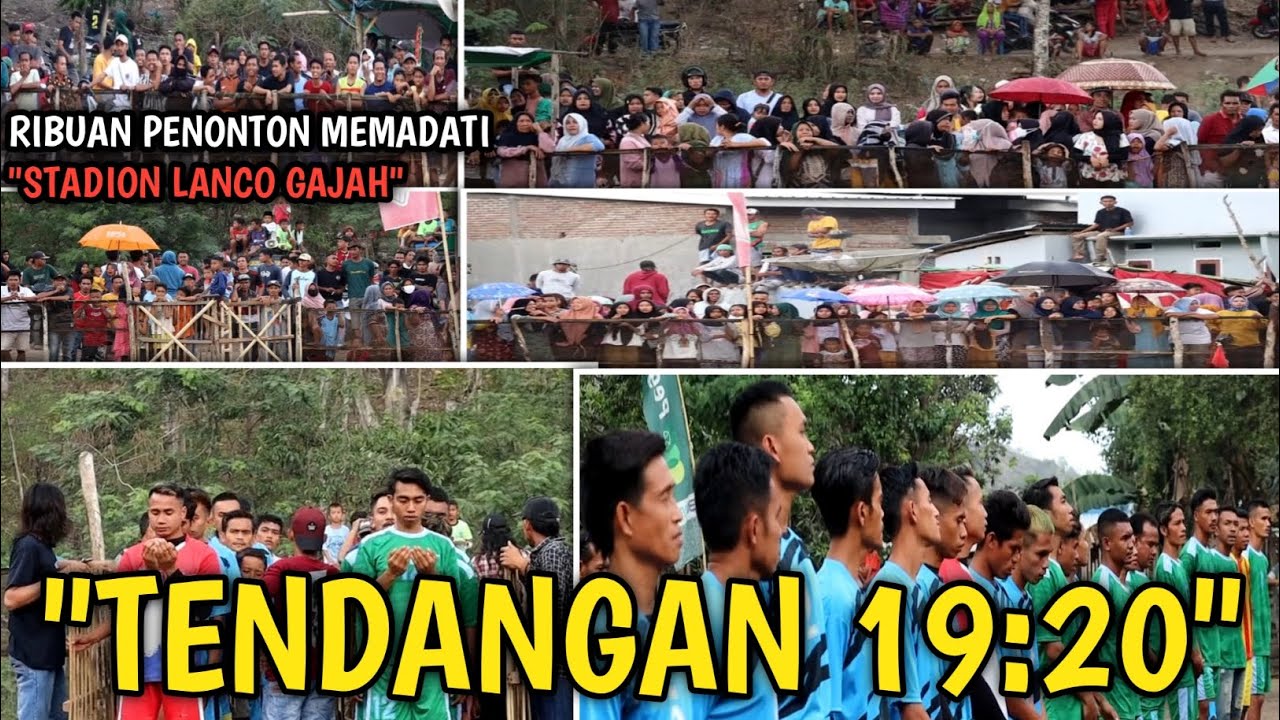 FINAL// Menegangkan!! KING TIGER vs THOMAS LELA CHANNEL