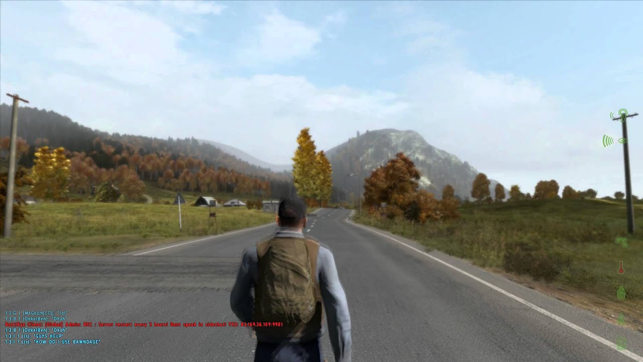 The DayZ Experience