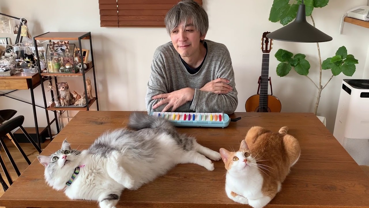 モイカウニカ