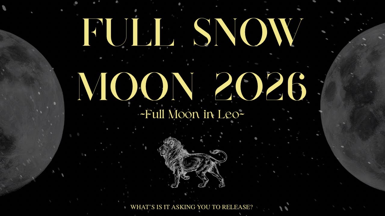 🔮FULL SNOW MOON 2026 || FULL MOON IN LEO 02/01 ✰ COLLECTIVE TAROT READING 🔮