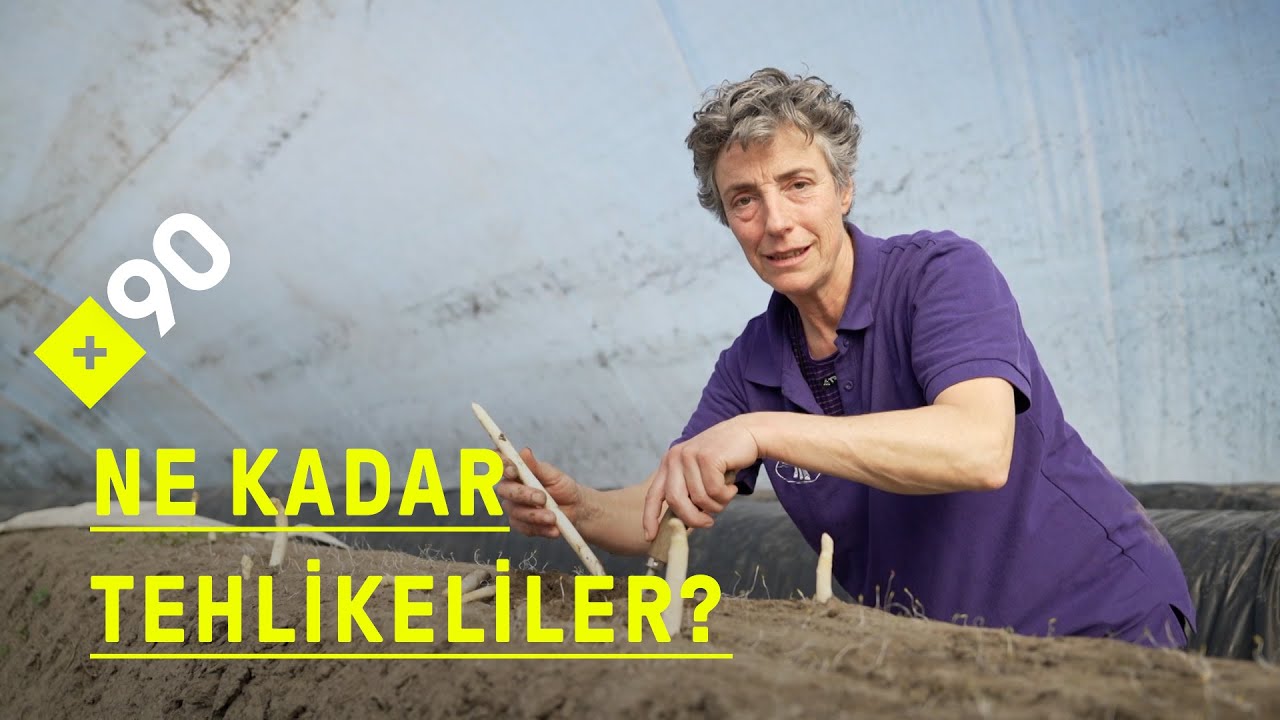 Mikroplastik istilası: Kirlenme besin zincirine de bulaşabilir mi?