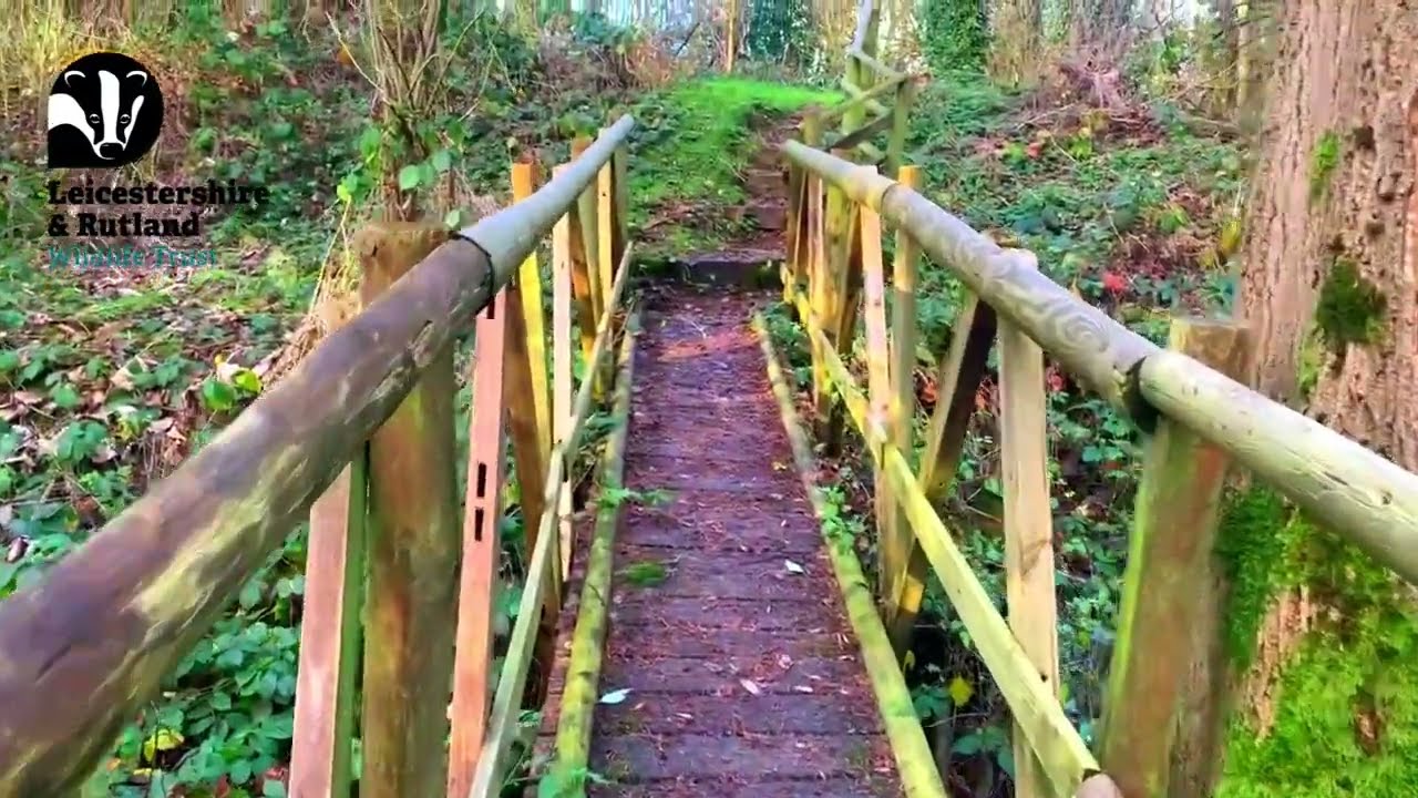 Holwell Nature Reserve