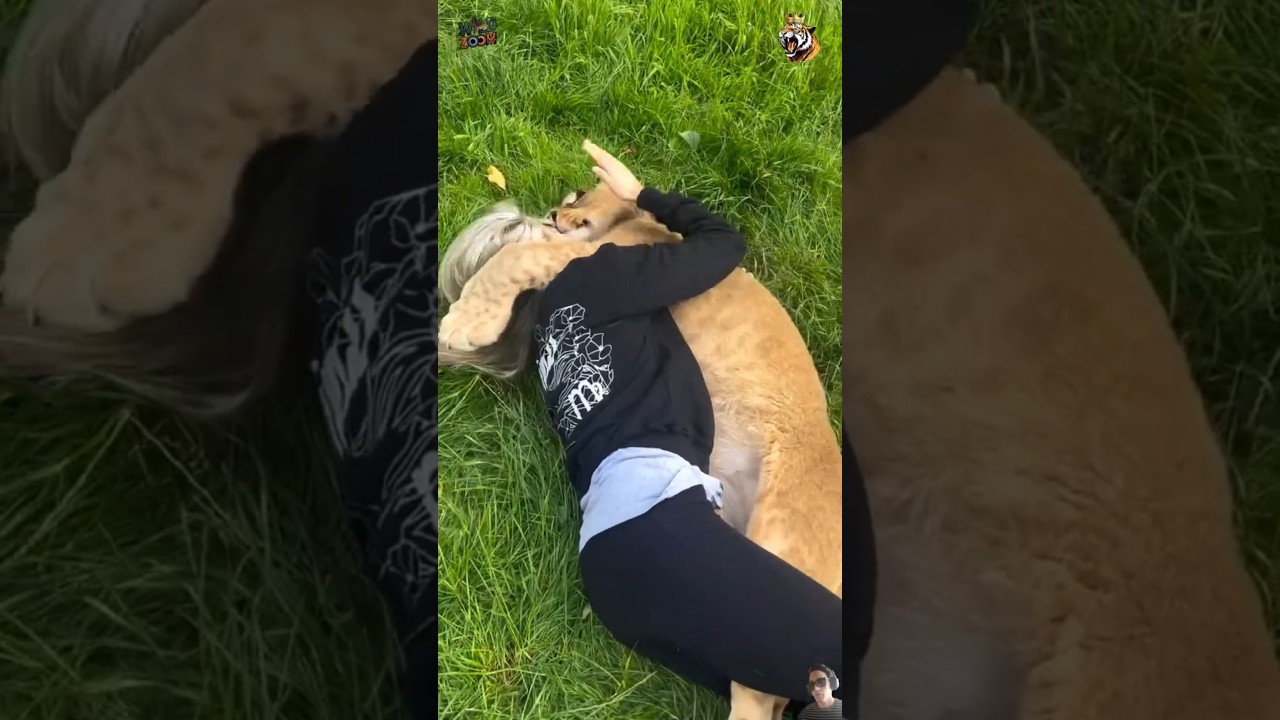 The Beautiful Bond Between Animals and Humans ❤️ Pure Love Caught on Camera