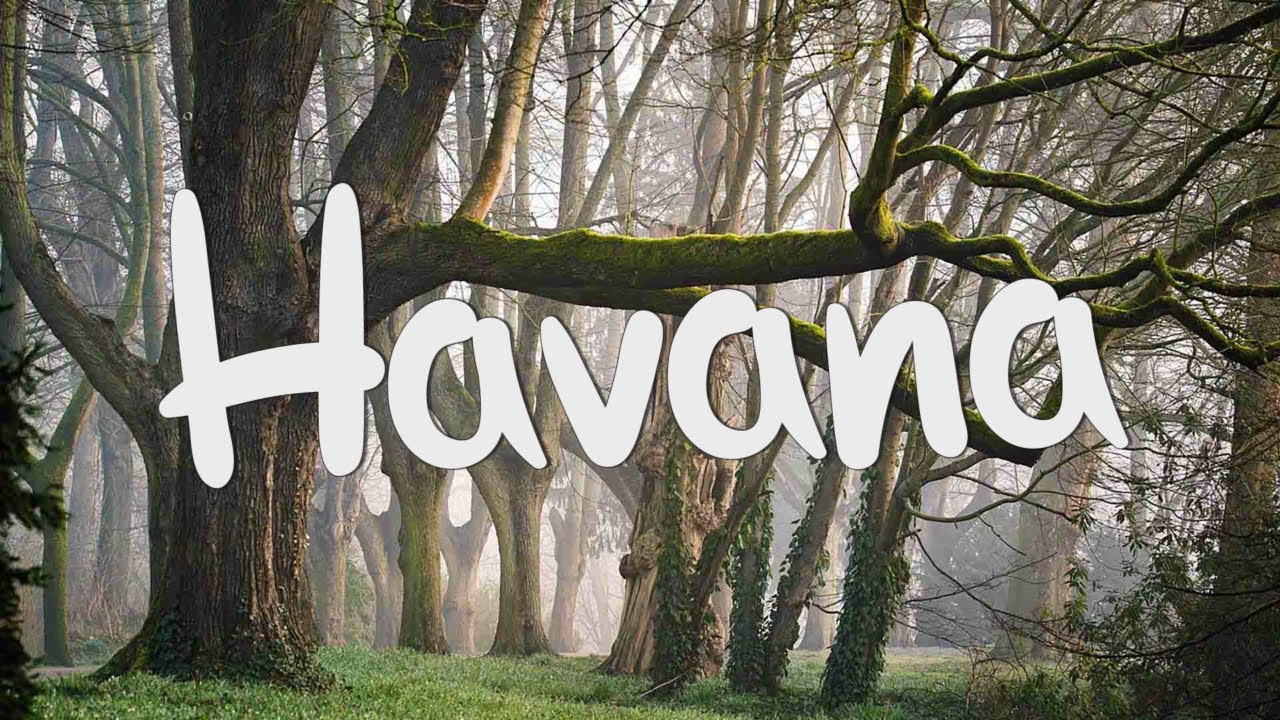 Havana - Camila Cabello (Lyrics) || Anne-Marie, Dua Lipa,... (Mix Lyrics)