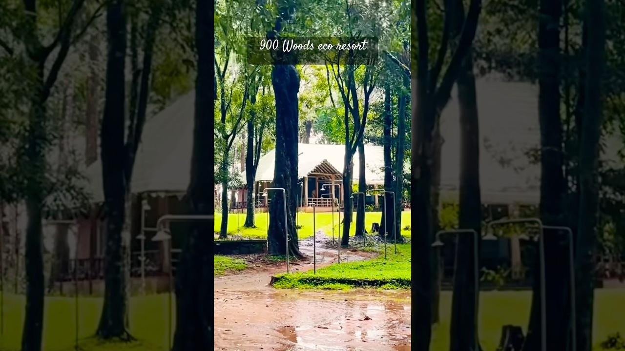 Hidden Forest Stay 🌿🏡 | 900 Woods Eco Resort, Wayanad | Dream Stay in Nature | Part 9
