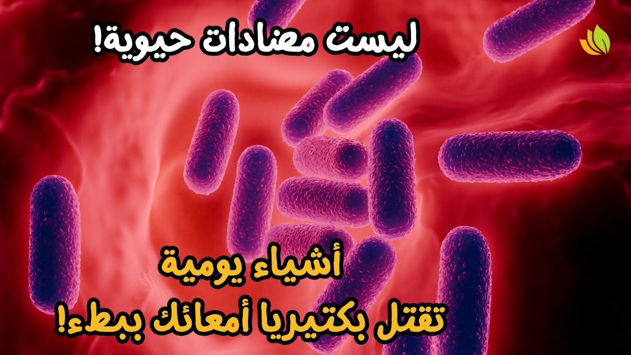 ليست مضادات حيوية | أشياء يومية تقتل بكتيريا أمعائك ببطء