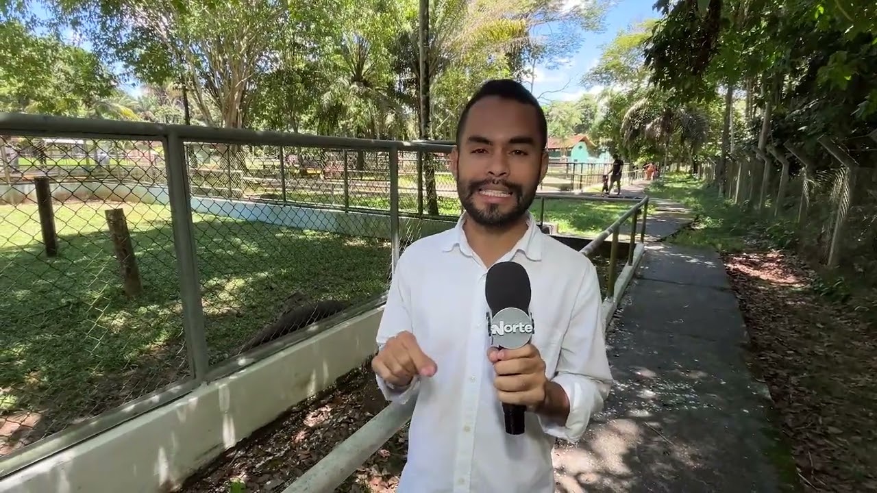 POVO NA TV - 12.02.2026 - VÍDEO MOSTRA AVES NO RECINTO DE ANTAS DE ZOOLÓGICO EM MANAUS