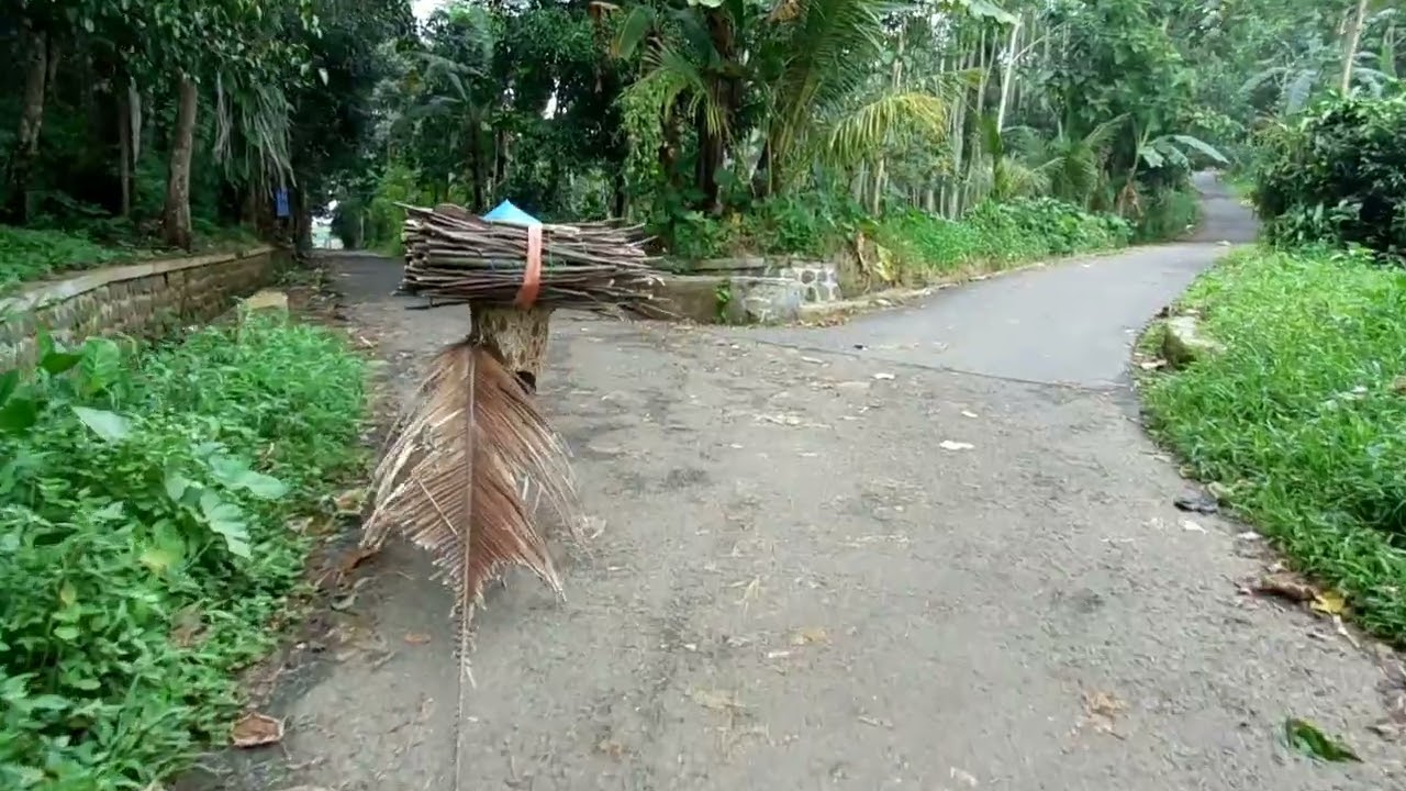 Rahayu➡️Rancabungur lewat Nyalindung-Cikandung