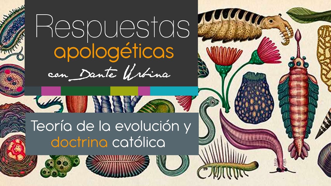 Respuestas apologéticas con Dante Urbina: Teoría de la evolución y doctrina católica