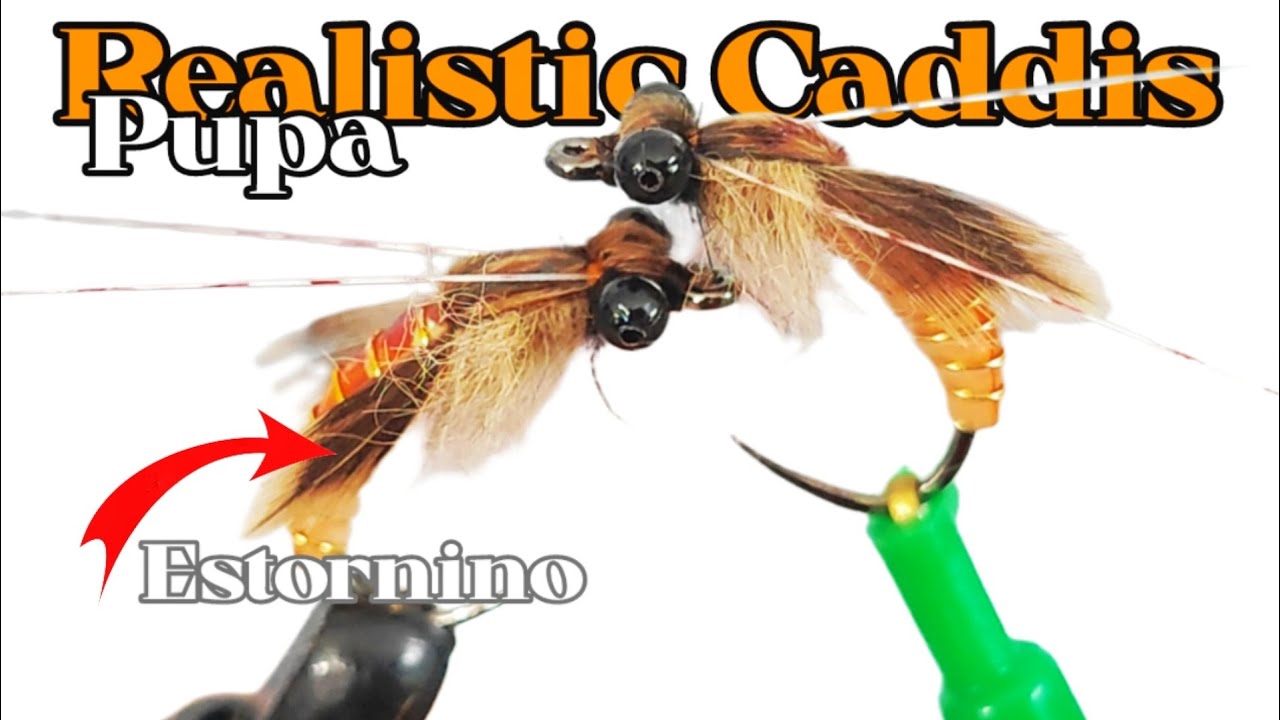Montaje de ninfa Realistic Caddis Pupa Tutorial.