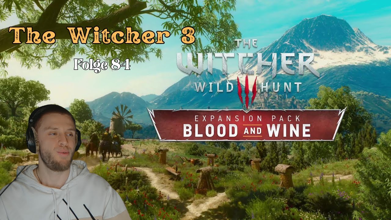 Wie gehen REIN ins DLC ! | The Witcher 3 Let's Play | 84