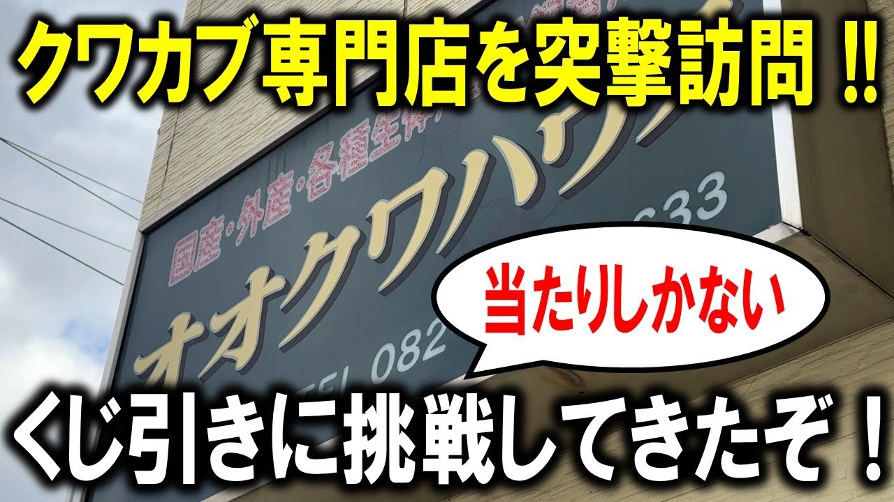 オオクワハウスさんをアポなし突撃訪問！当たりしかない昆虫くじを引いてきたぞ！