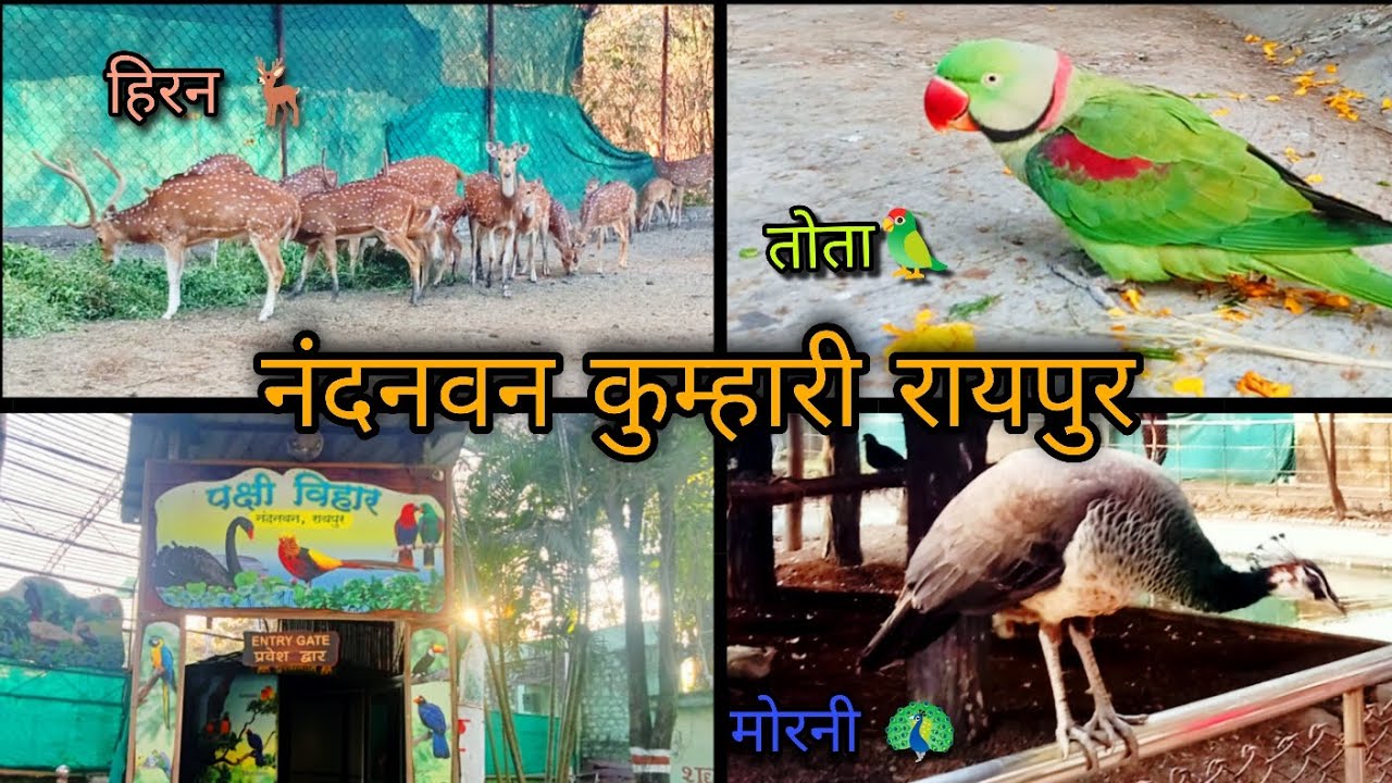 Old Nandanvan Zoo Kumhari ll Nandanvan Zoo Kumhari Raipur ll Nandanvan Zoo Raipur ll