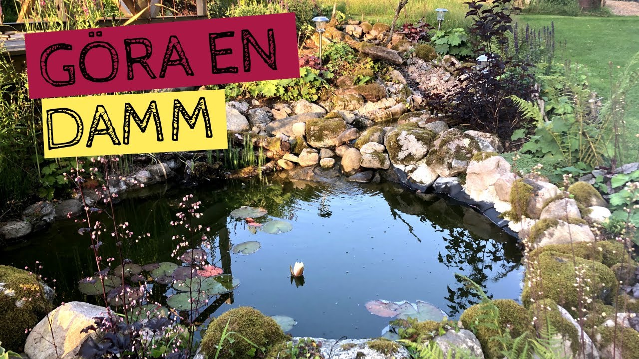 Att göra en DAMM - Mina erfarenheter efter att ha byggt min första damm - tips och idéer
