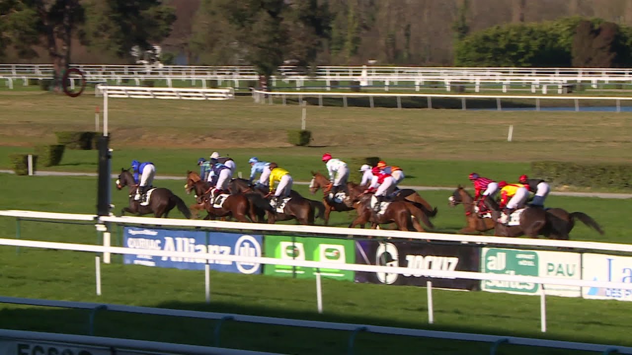 Hippodrome de Pau, un dimanche record