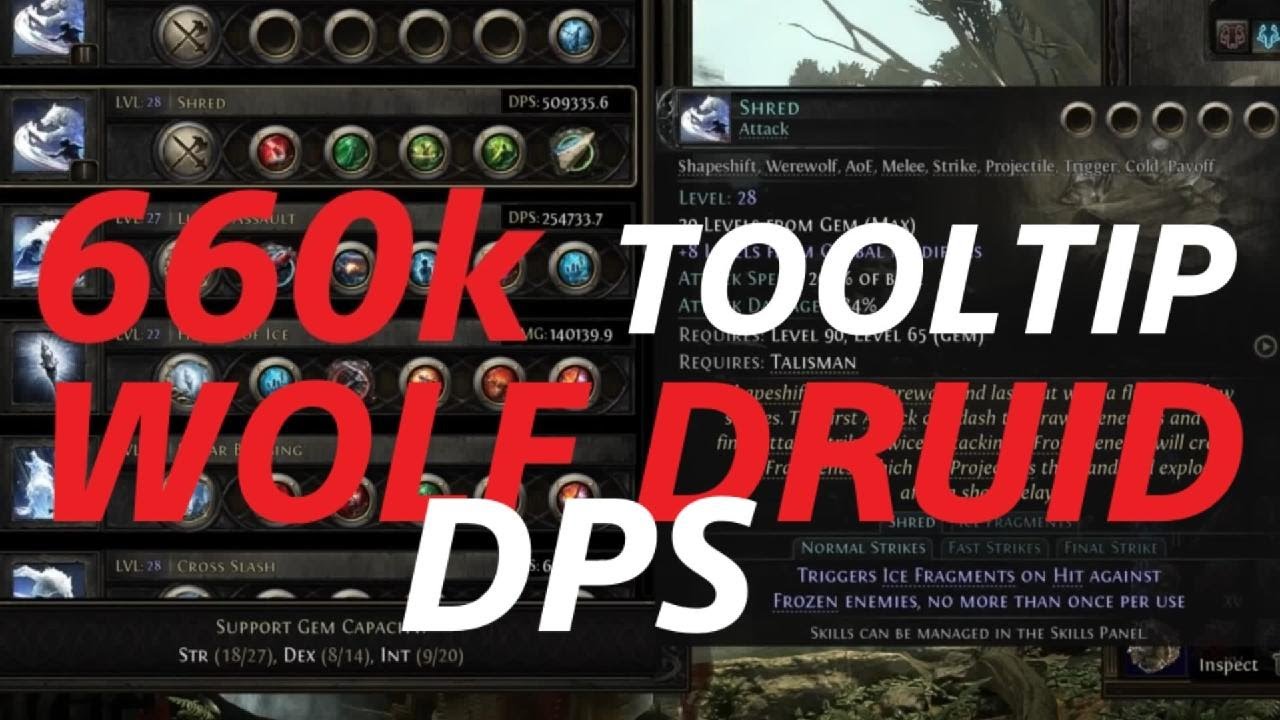 Wolf Druid Build Guide | Highest Buffed dmg?! | Poe2