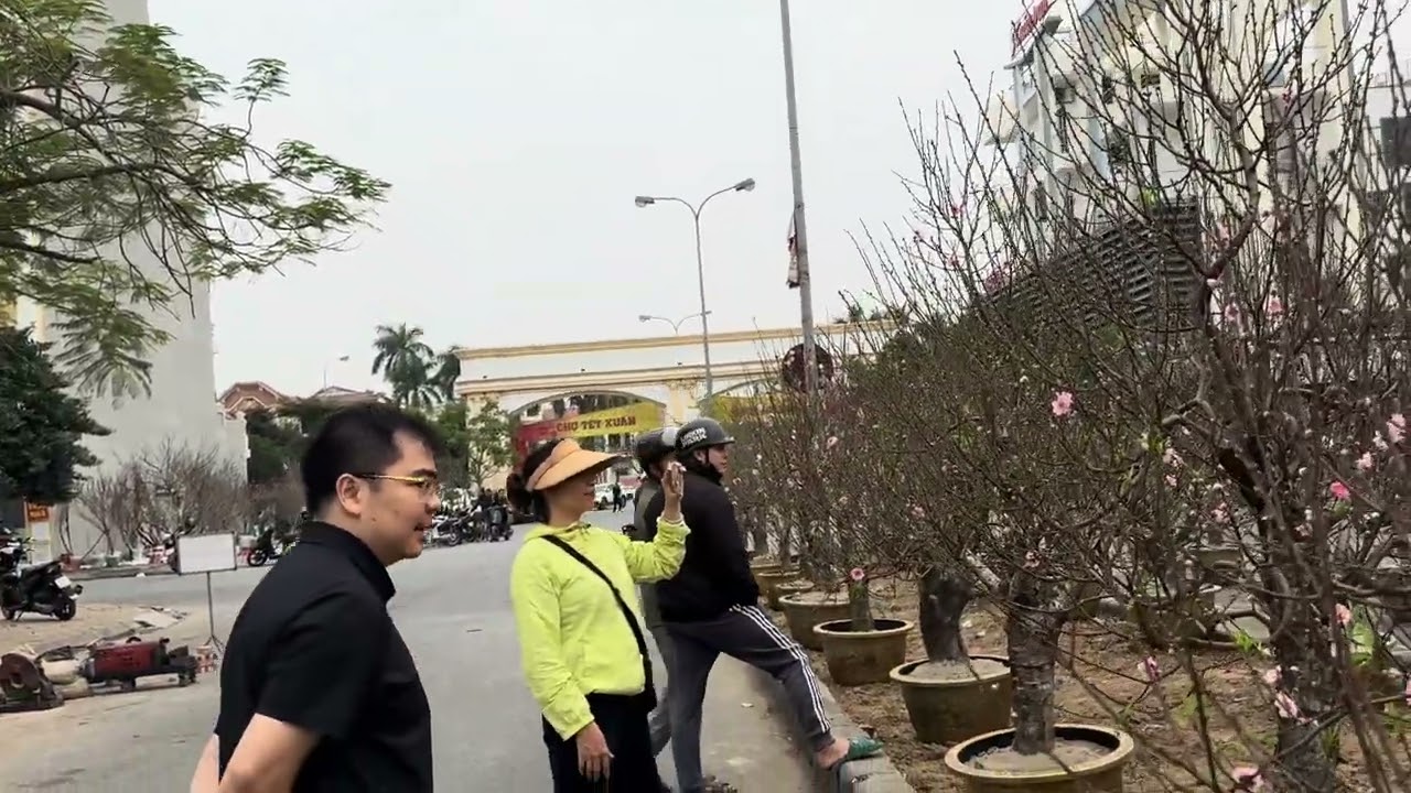 Beautiful Roads of Hai Phong, Viet Nam 🇻🇳 | Hai Phong City Drive 4K ngày 7 tháng 2, 2026