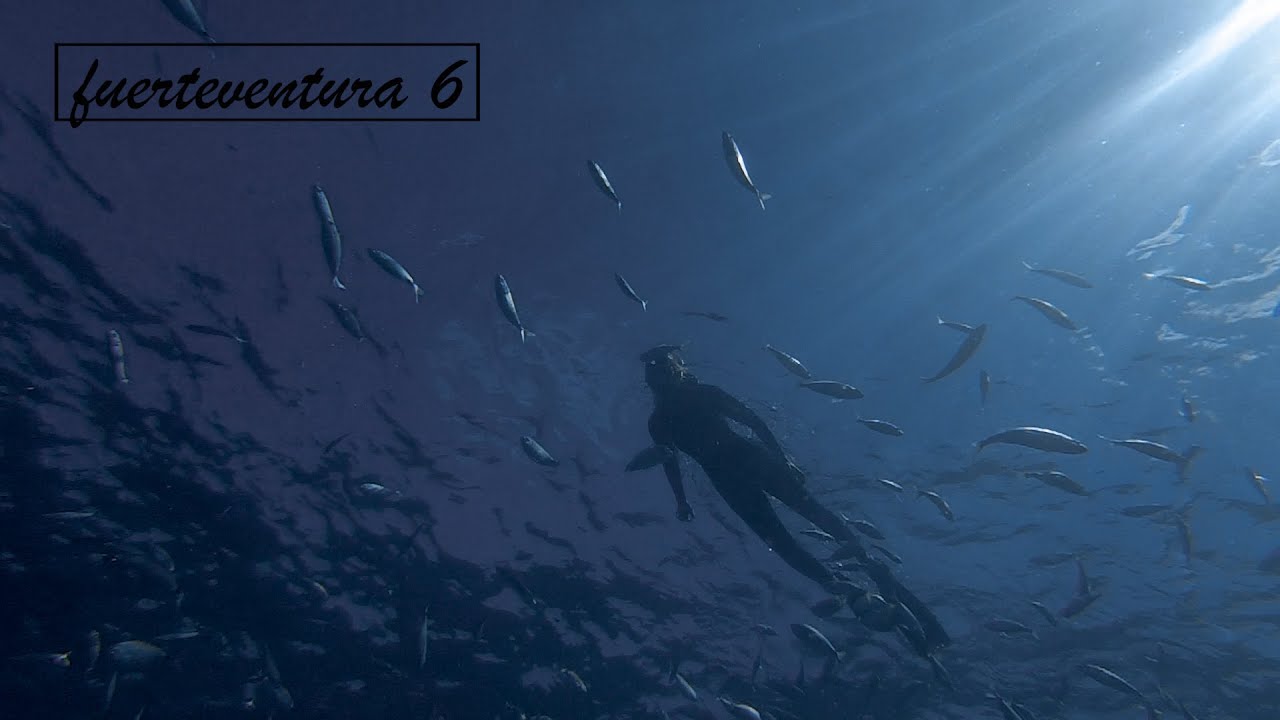 Fuerteventura Teil 6 / Kanaren für 2 Monate/ Schnorcheln Lobos / Corralejo 🇮🇨