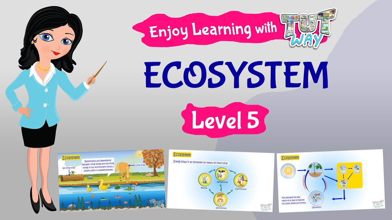 Ecosystem | Science | Grade-4,5 | TutWay |