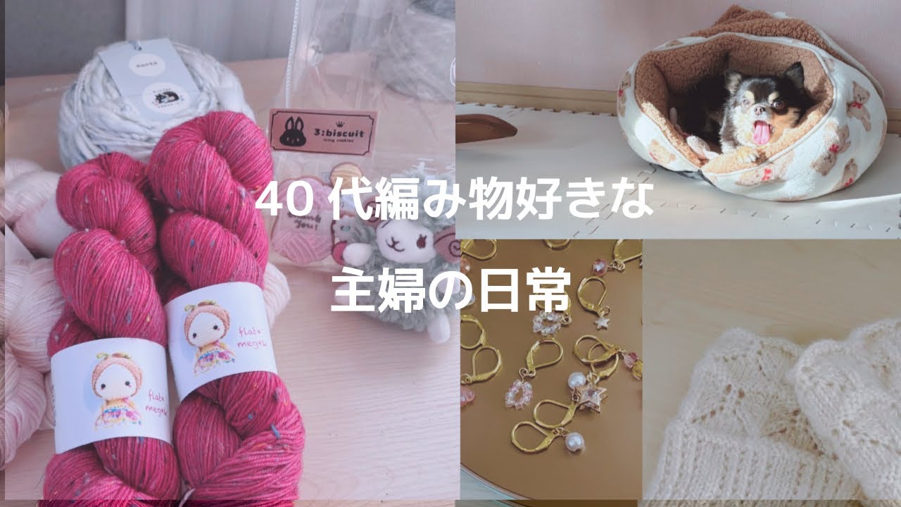 40代 編み物好きな主婦と永遠のイヤイヤ期チワワの日常