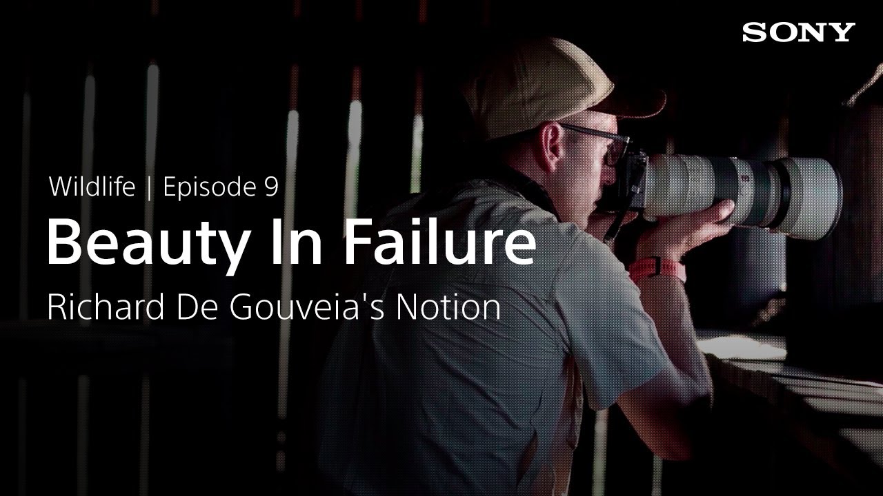 Why We Shoot - Wildlife - #9: Richard De Gouveia's Notion The beauty in failure