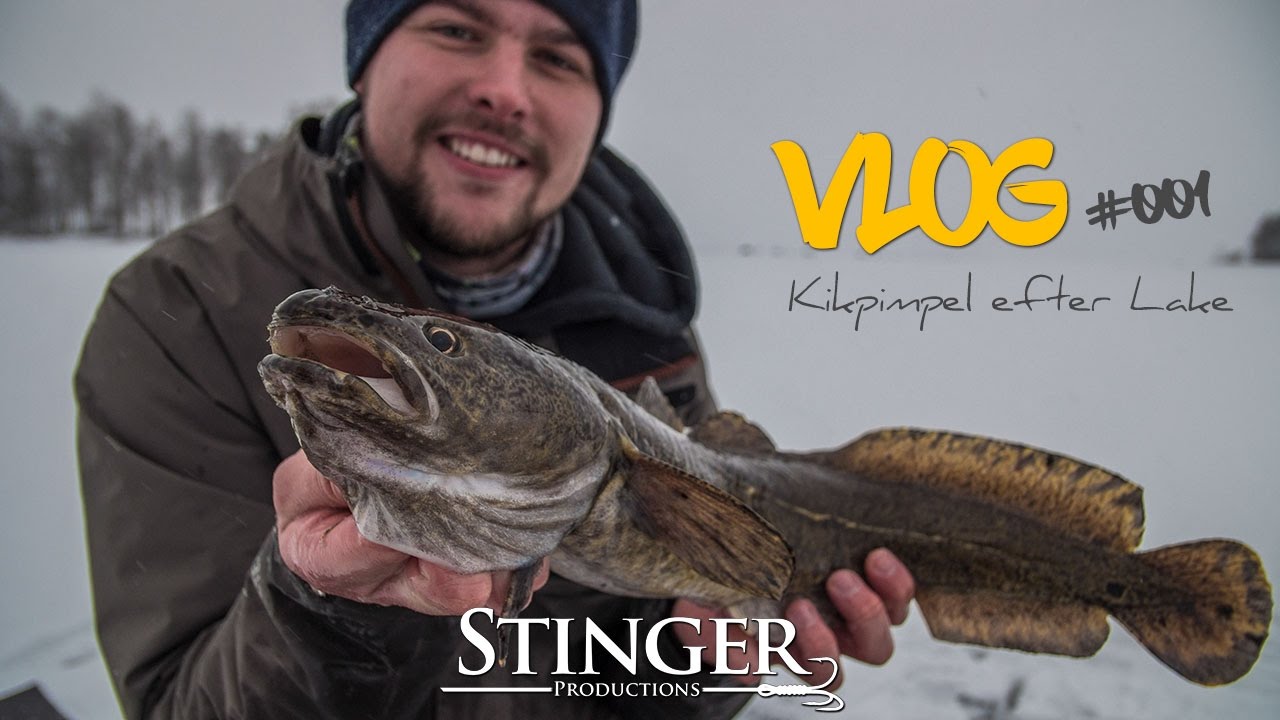 VLOG #001 - Kikpimpel efter Lake