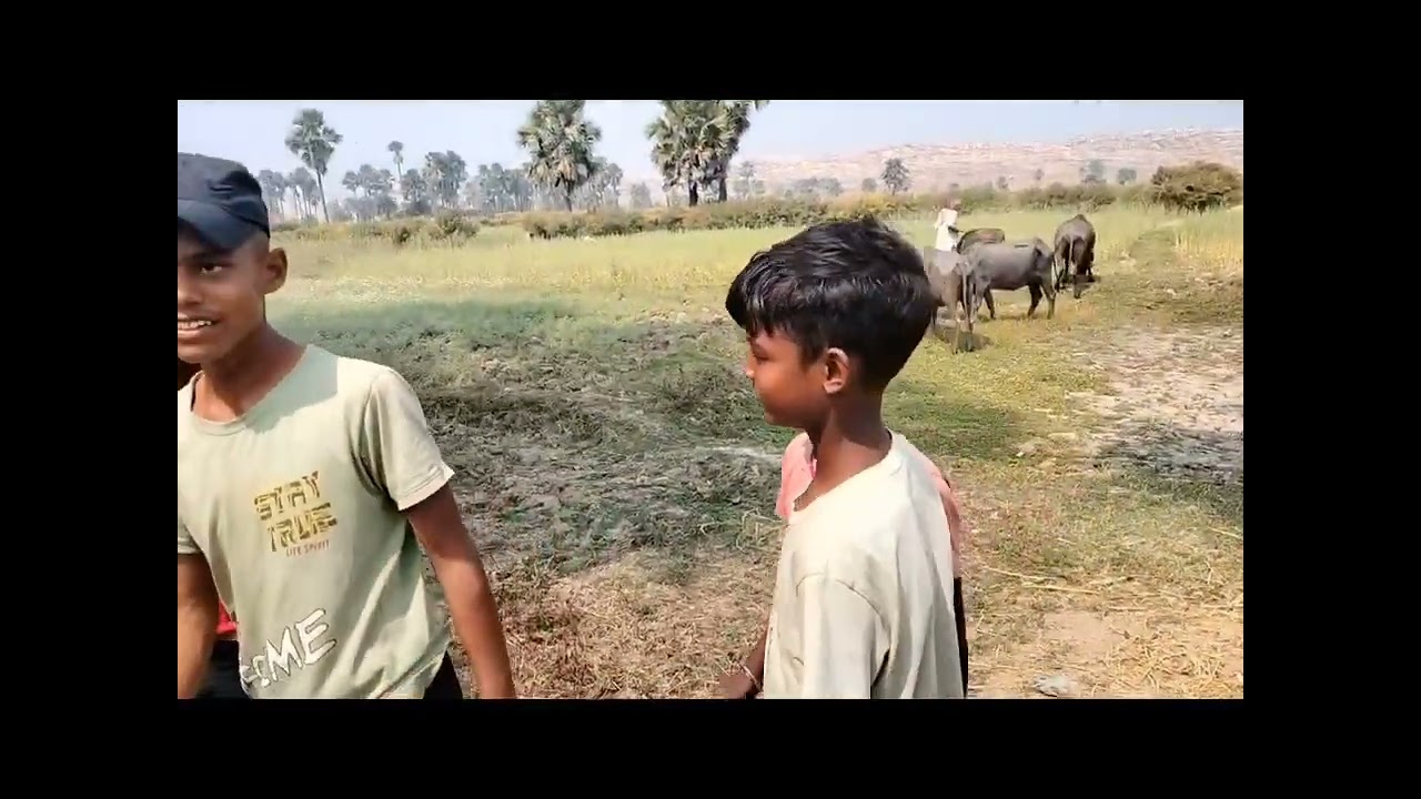 Aj bhrma voj hai #video #Rockey thakur #virla #comedy #maghiyacomedy #manimeraj #comedy #udaydoctor