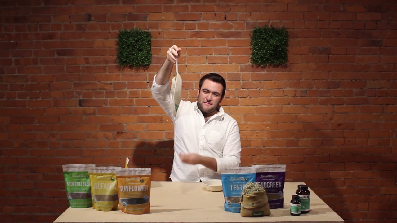 How to Get Started Sprouting At Home - The Easiest Way | Three Simple Steps