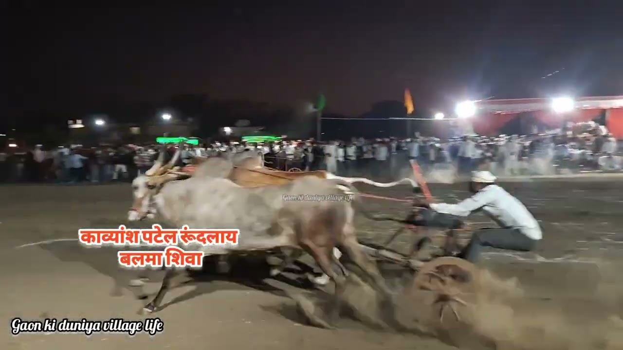 नीमगांव बेल दोड की सभी वीडीयो 