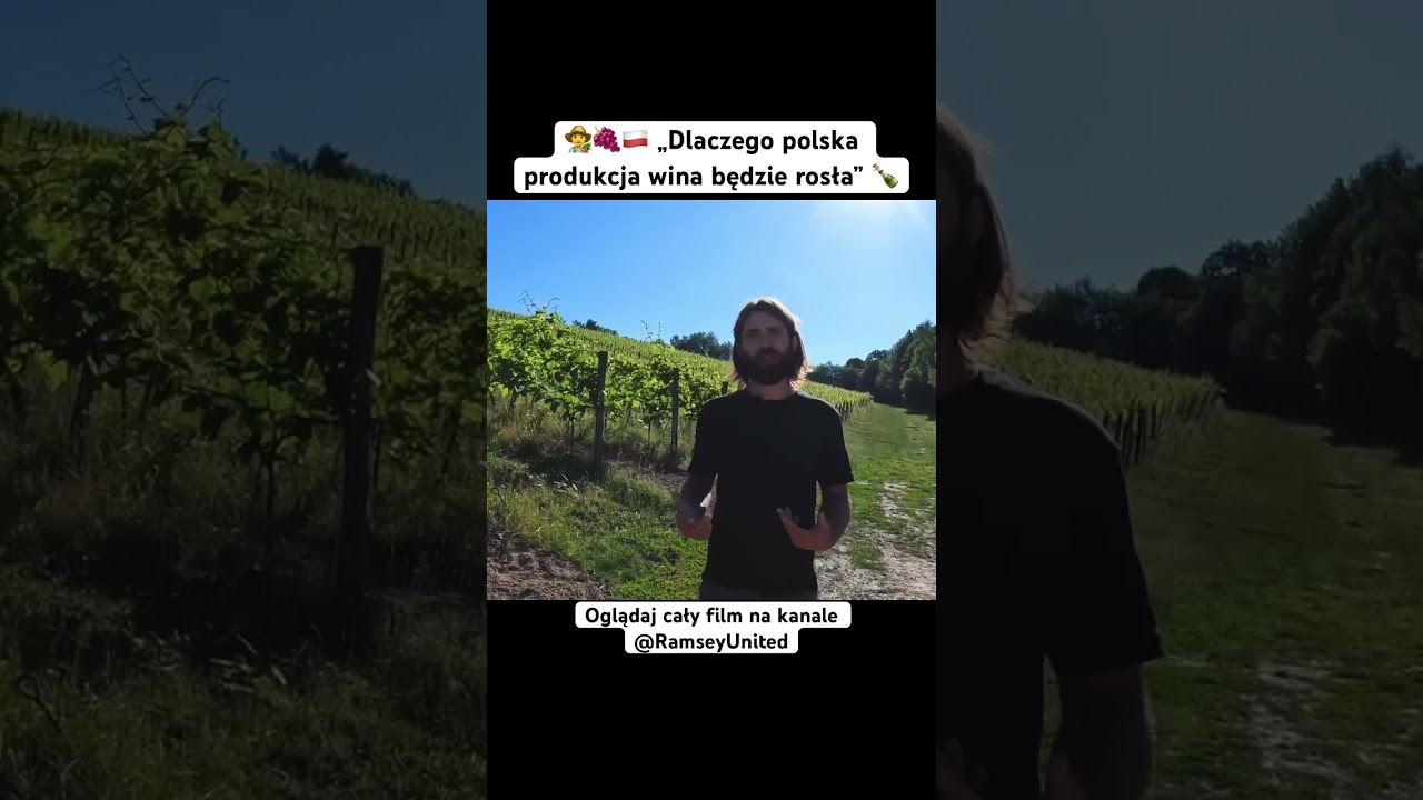 👨‍🌾🍇🇵🇱 „Dlaczego polska produkcja wina będzie rosła” 🍾 #rolnictwo #winnica #polska #wino