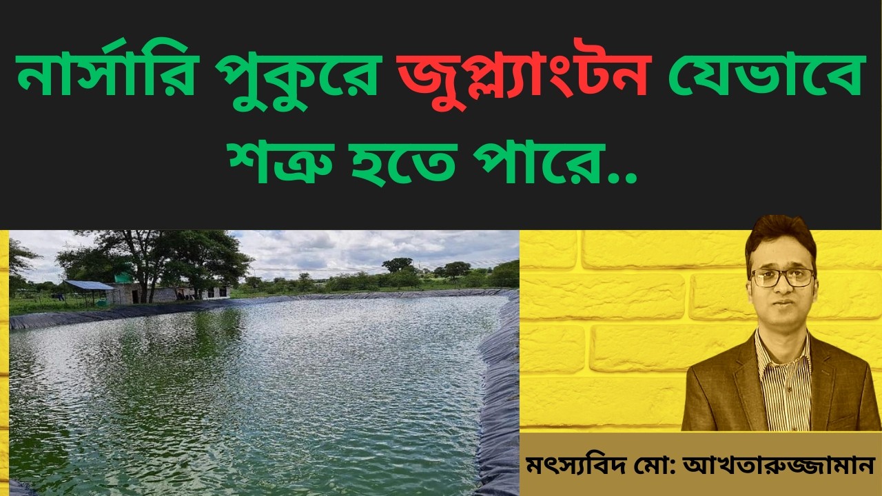 নার্সারি পুকুরে জুপ্ল্যাংটন যেভাবে শত্রু হতে পারে (Zooplankton Can Become a Threat in Nursery Ponds)
