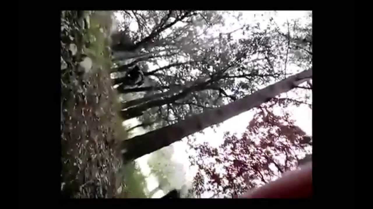 .-Ukraine Prorussian sniper rebels Firefight in forest -2014- GoPro-.