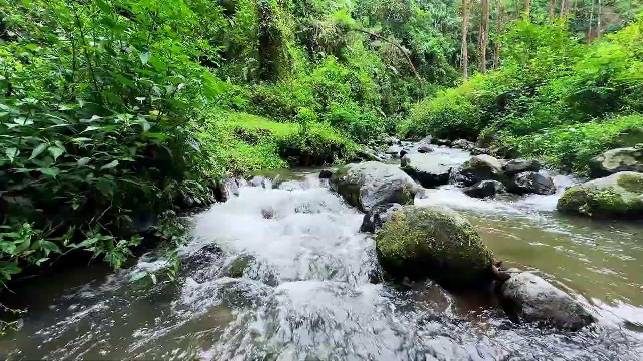 Soothing river sound near quiet flowing riverbanks helping your mind rest in deeper deep sleep