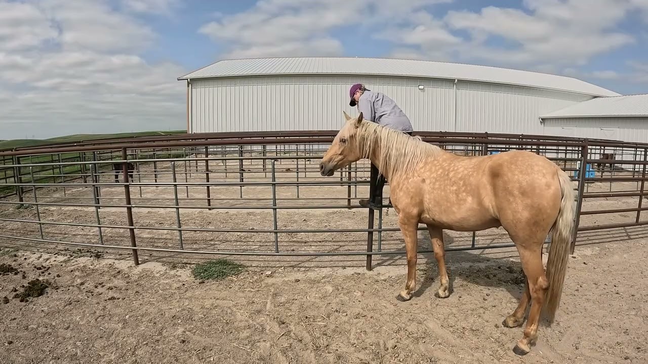 Meet CDC Lexi
