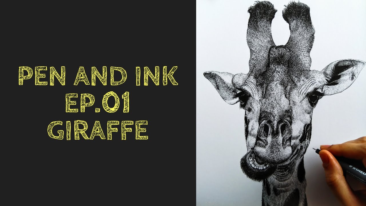 Pen And Ink Drawing | Episode 01 - Giraffe | Staedtler Pigment Liner | Time Lapse | BornAdroit