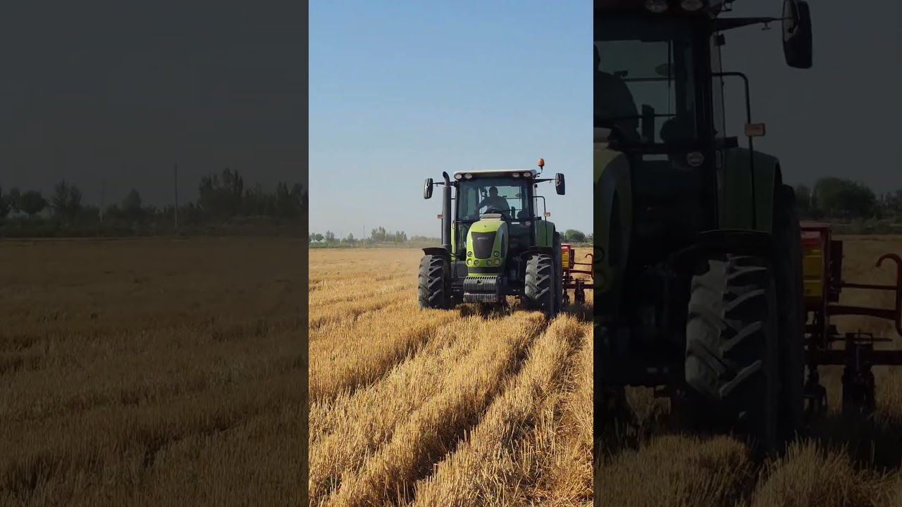 Shudgor qilinmagan yerga mosh takroriy ekin sifatida maxsus seyalka  bilan ekilmoqda #agriculture
