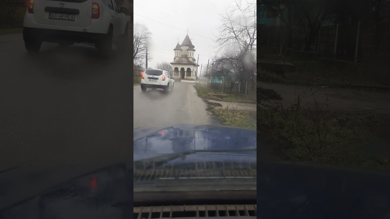 🏡    Probleme  cu  vecinii  noștri 