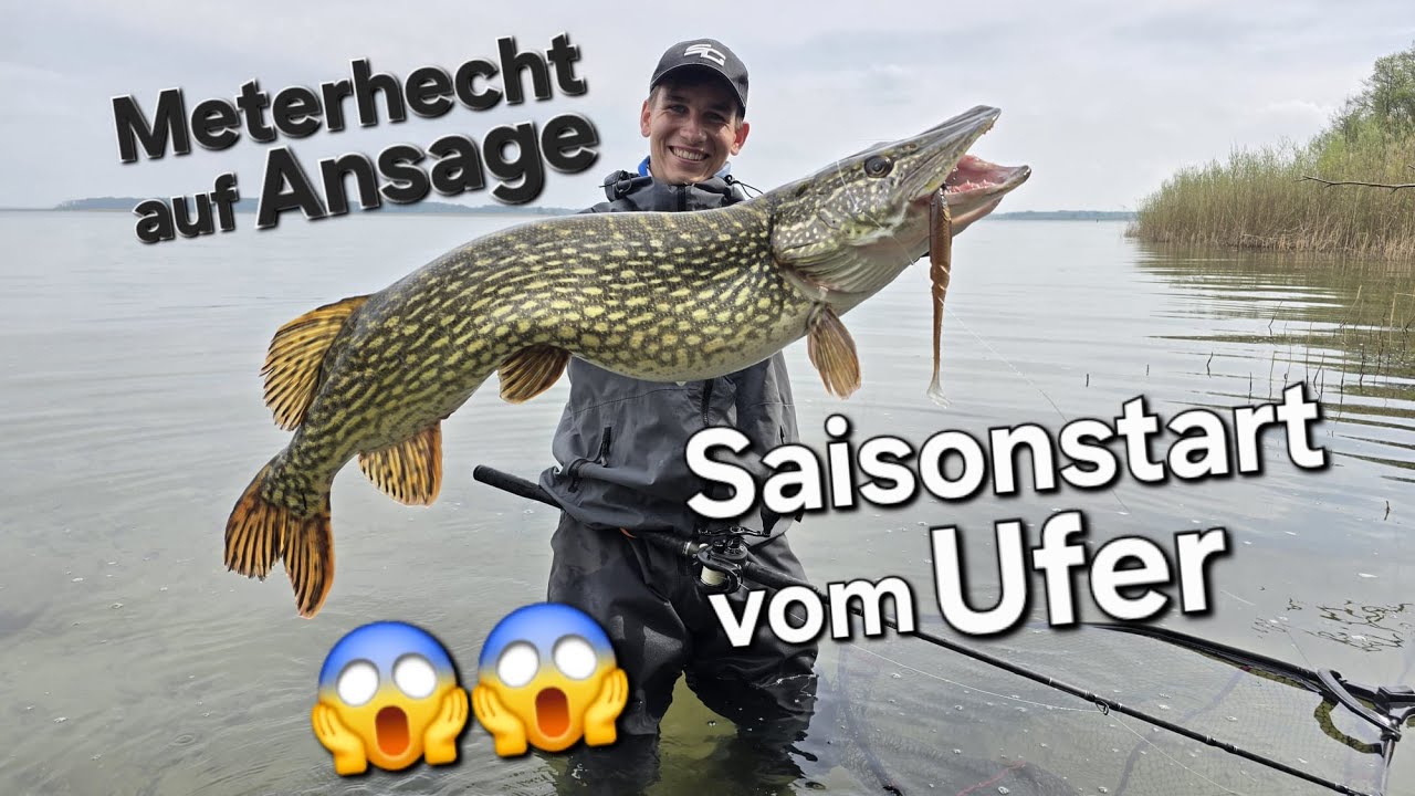 Hechtangeln zum Saisonstart vom Ufer - Das musst du beachten und wissen