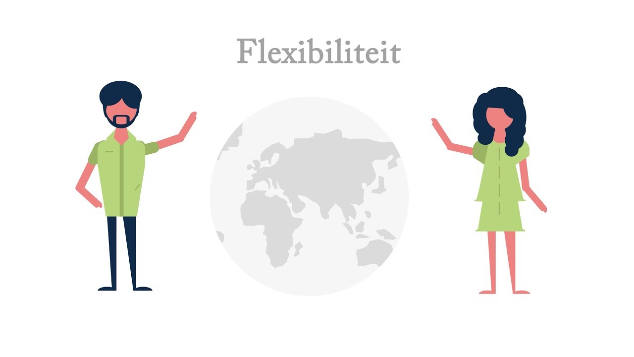 Executieve functies: Flexibiliteit