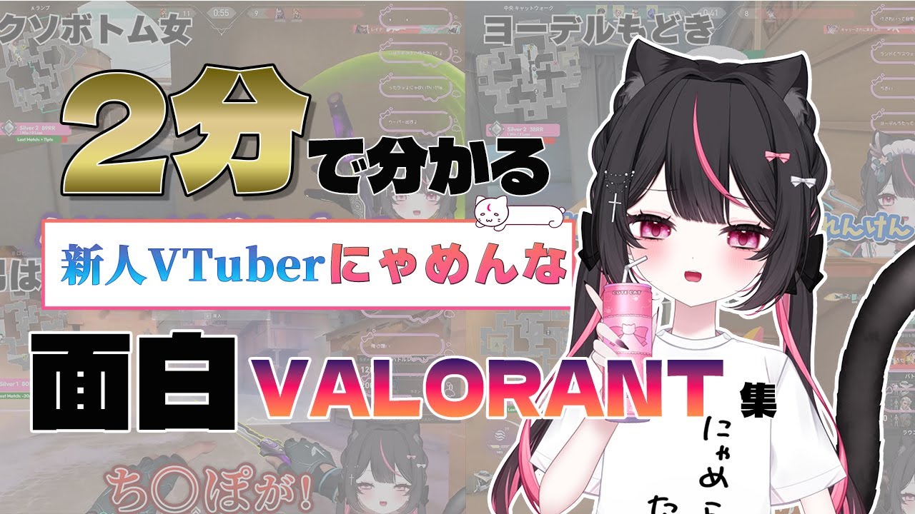 【２分で分かる】新人VTuber「にゃめんな」  面白VALORANT集